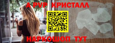 амф Кингисепп