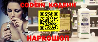 амф Кингисепп