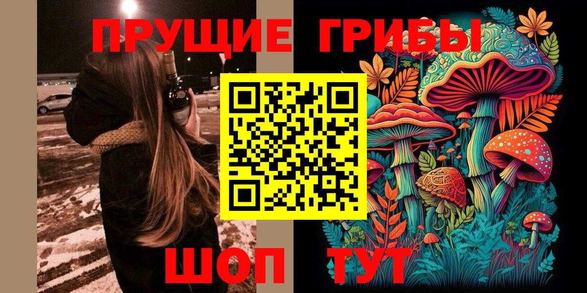 Псилоцибиновые грибы Cubensis  купить наркотик  Волжск  Вход с VPN 